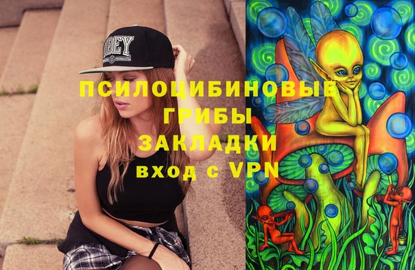 твердый Абаза